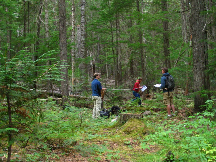 students measuring forest